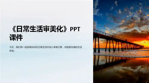 《日常生活审美化》课件