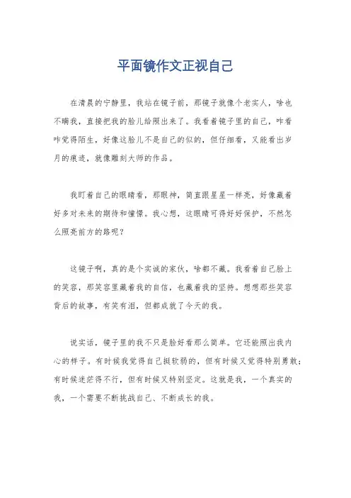 平面镜作文正视自己
