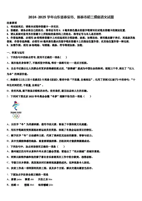 2024-2025学年山东省泰安市、新泰市初三摸底语文试题含解析