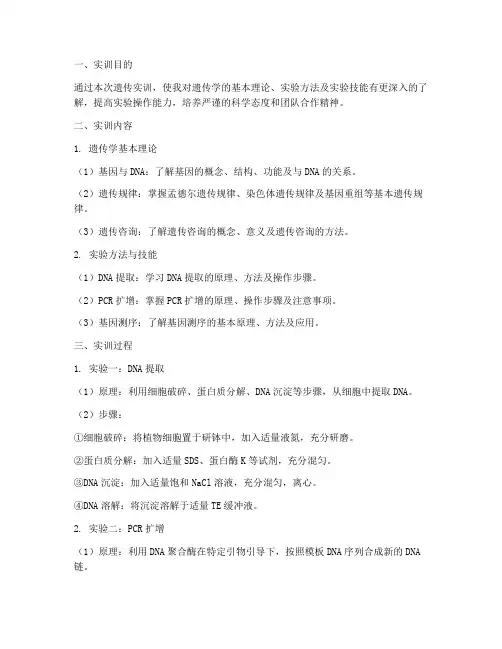 遗传实训报告