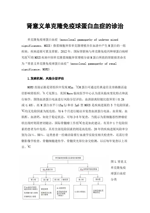 肾意义单克隆免疫球蛋白血症的诊治