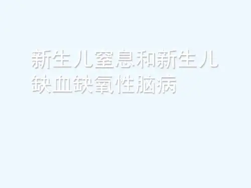 新生儿窒息和缺氧缺血性脑病(74页)