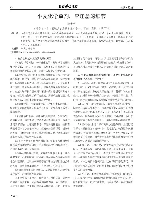 小麦化学草剂,应注意的细节