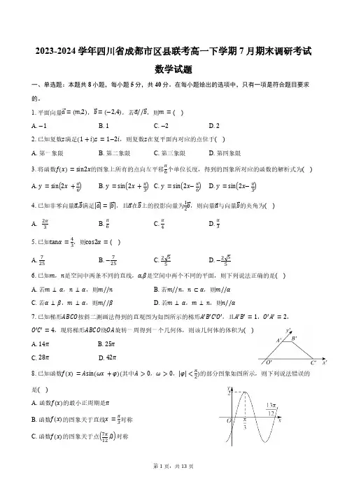 2023-2024学年四川省成都市区县联考高一下学期7月期末调研考试数学试题(含解析)