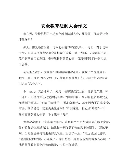 安全教育法制大会作文
