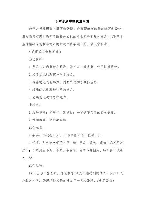 6的形成中班教案5篇