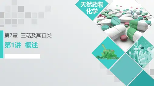 第07章 三萜及其苷类  01 概述