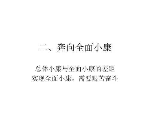 九年级政治奔向全面小康(1)(中学课件2019)
