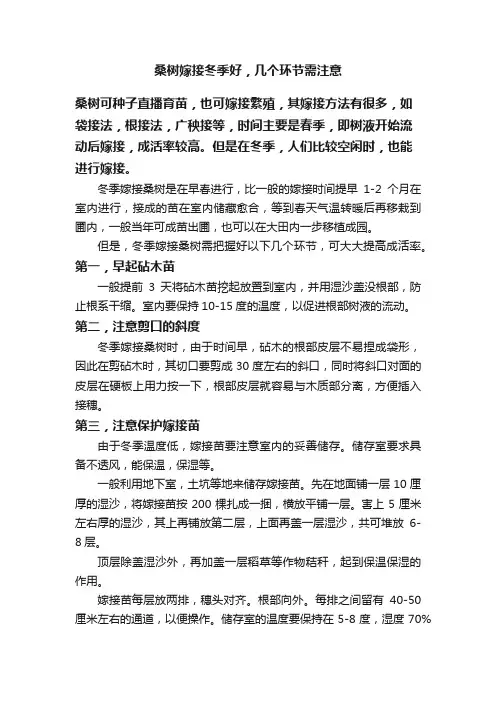 桑树嫁接冬季好，几个环节需注意