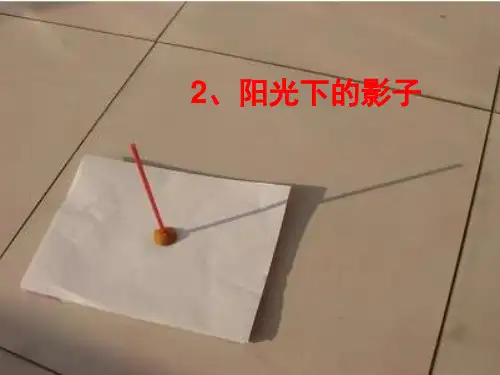 五年级上册科学课件-阳光下的影子_教科版