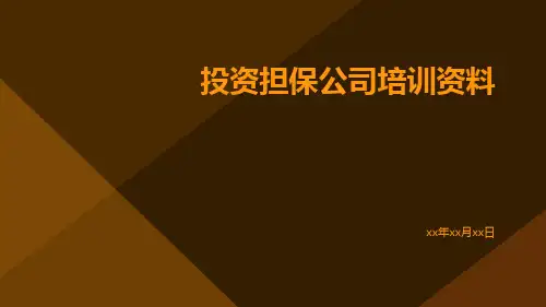 投资担保公司培训资料