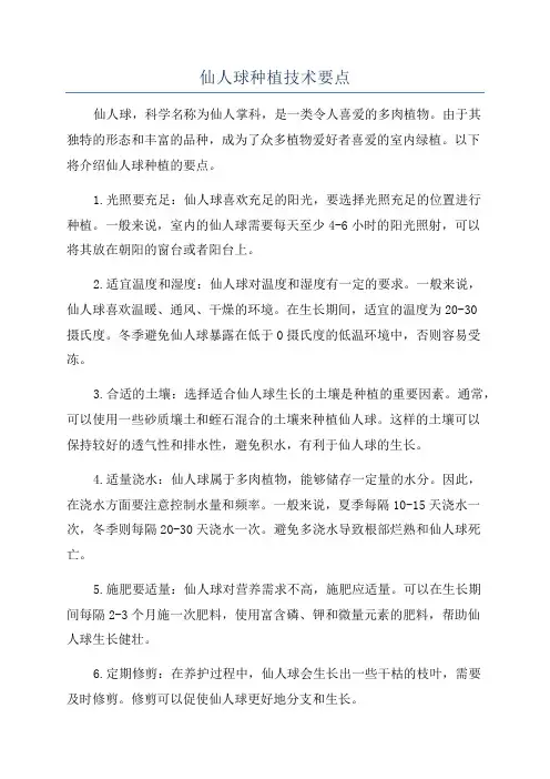 仙人球种植技术要点