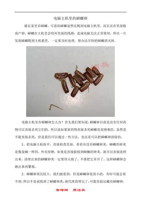 蟑螂卵长什么样 电脑主机里的蟑螂卵怎么处理