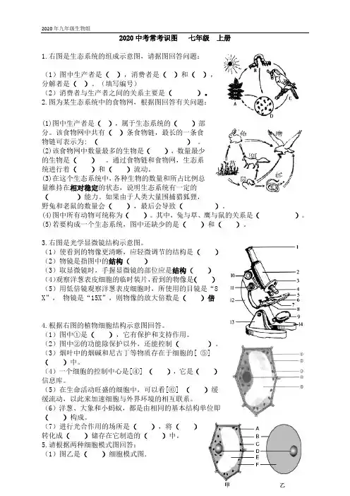 2020中考生物(人教版)常考识图七年级上册