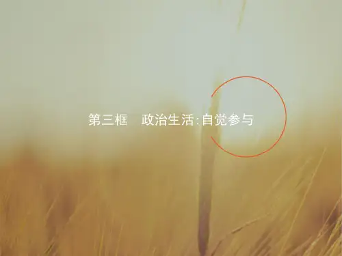 2017-2018学年高一政治必修2课件：1-3政治生活自觉参与 精品