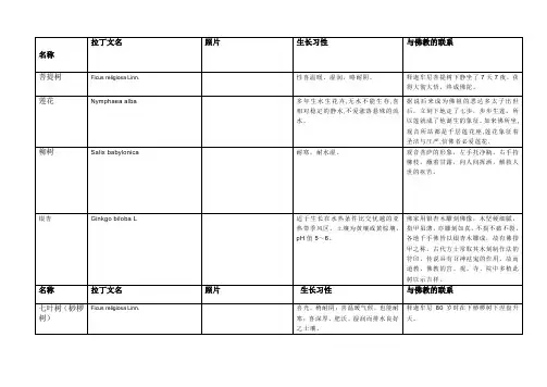 与佛教有关植物一览