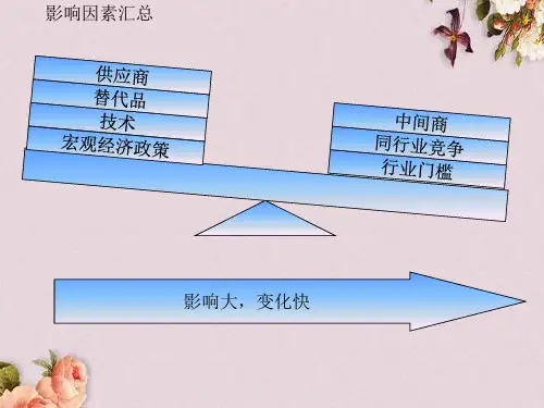 某公司内外部环境分析报告(ppt 19页)