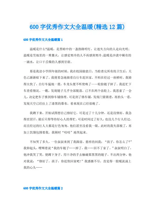 600字优秀作文大全温暖(精选12篇)