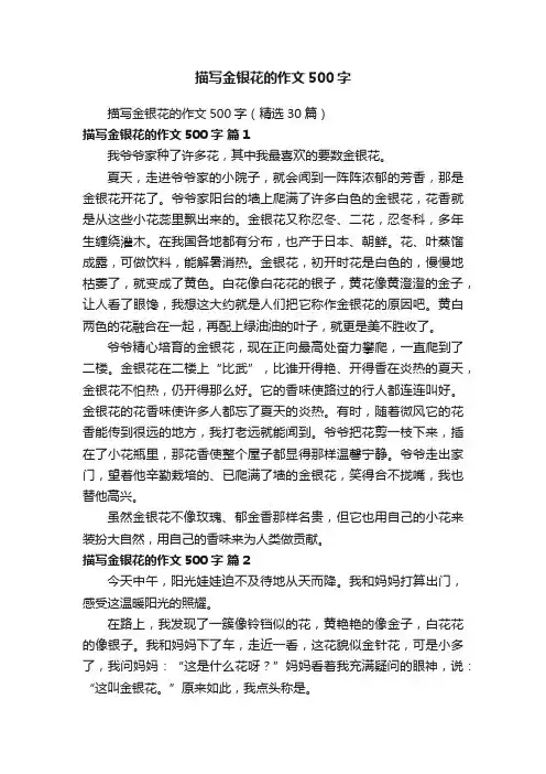 描写金银花的作文500字（精选30篇）
