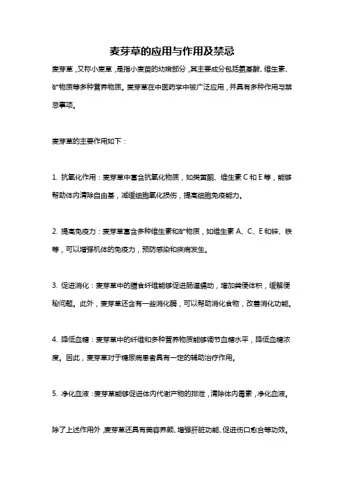 麦芽草的应用与作用及禁忌