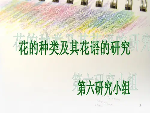 研究性学习花的种类及其花语的研究(课堂PPT)