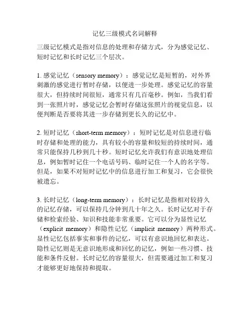记忆三级模式名词解释