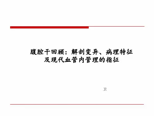 腹腔干回顾 解剖变异 病理特征及现代血管内管理的指征