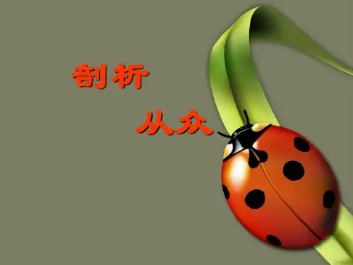 第六课：从众与自主