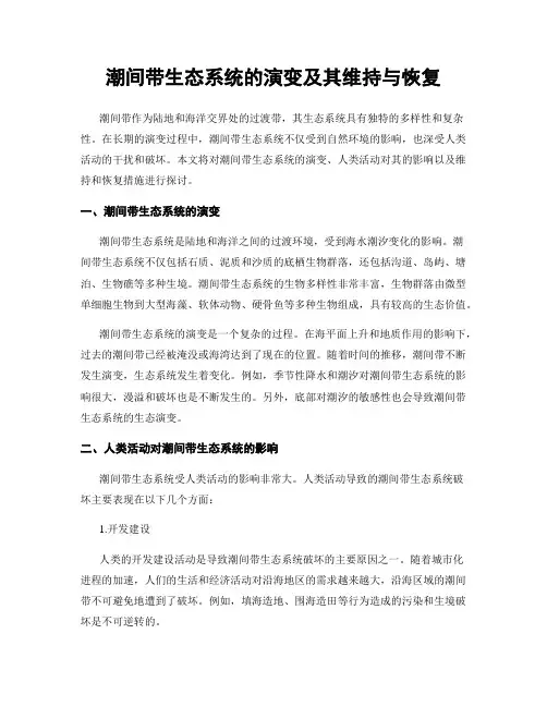 潮间带生态系统的演变及其维持与恢复