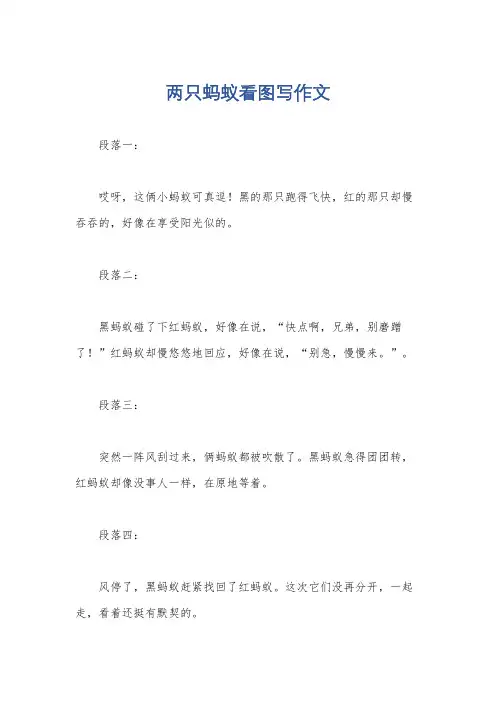 两只蚂蚁看图写作文