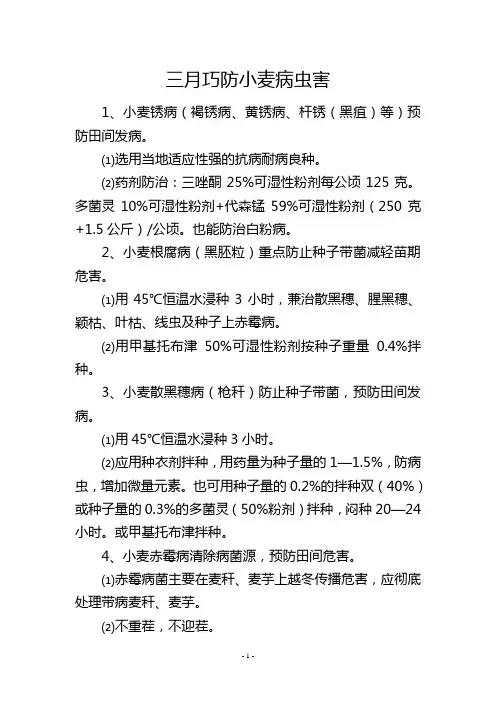 三月巧防小麦病虫害