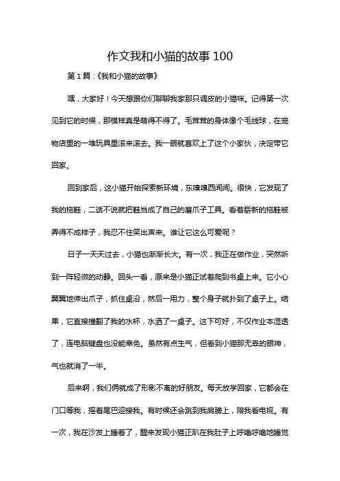 作文我和小猫的故事100