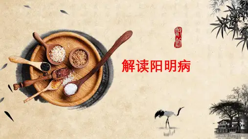 解读阳明病