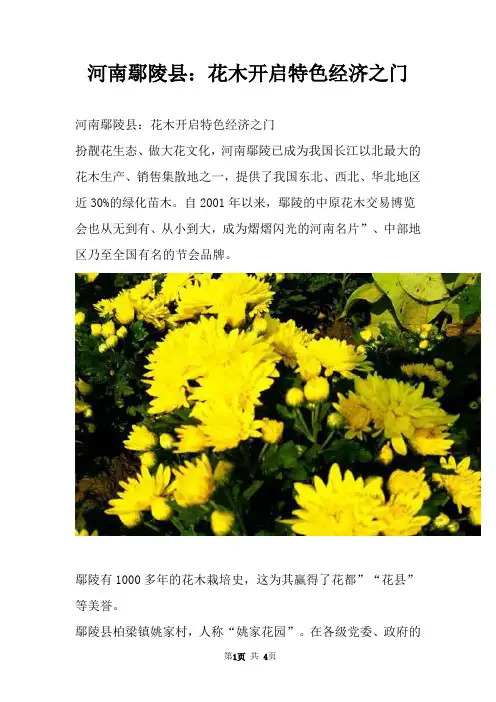 河南鄢陵县：花木开启特色经济之门