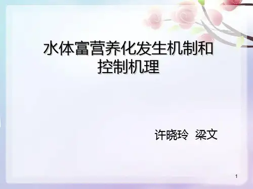 水体富营养化ppt课件
