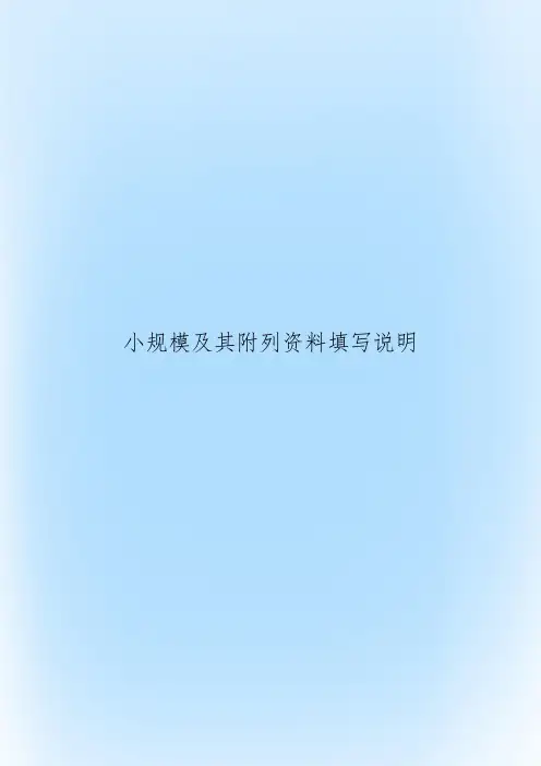 小规模及其附列资料填写说明