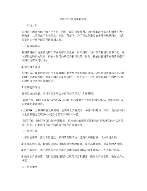 四川专业营销策划方案