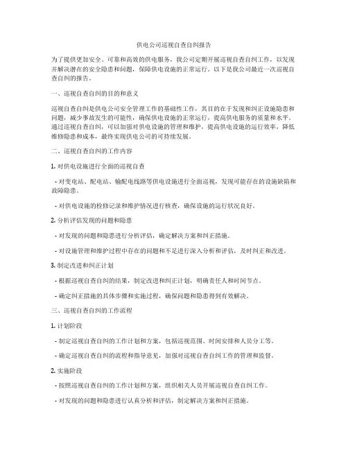 供电公司巡视自查自纠报告