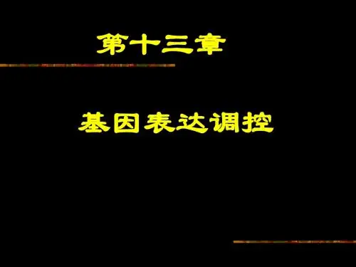 第十三、十四章 基因重组与基因工程 -