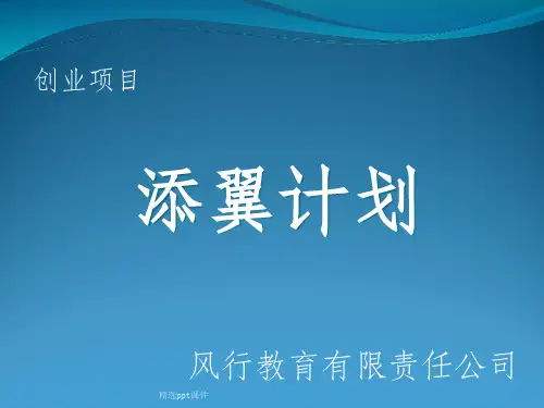 创业计划书完整ppt课件
