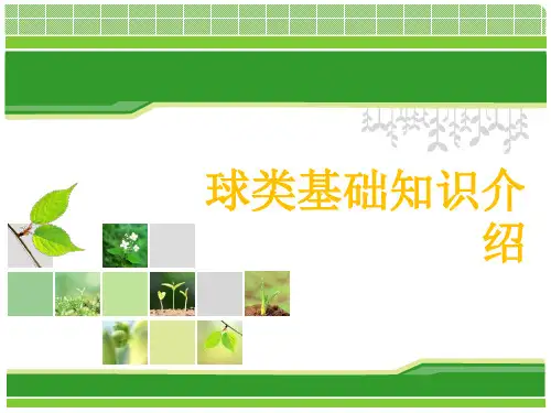 球类基础知识介绍