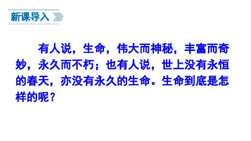 人教部编版《散文二篇》精美课件1