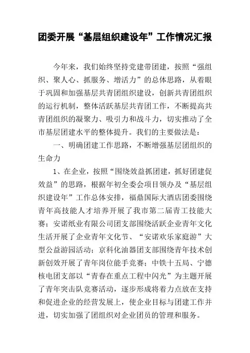 团委开展“基层组织建设年”工作情况汇报