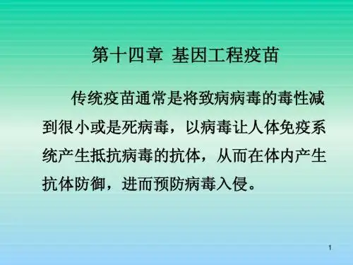 115第十四章 基因工程疫苗17张幻灯片