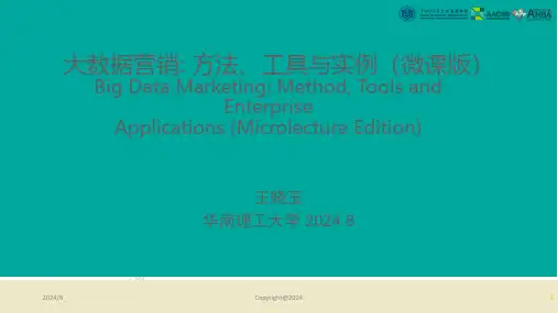 大数据营销：方法、工具与实例(微课版)-PPT课件(限认证教师下载).pdf