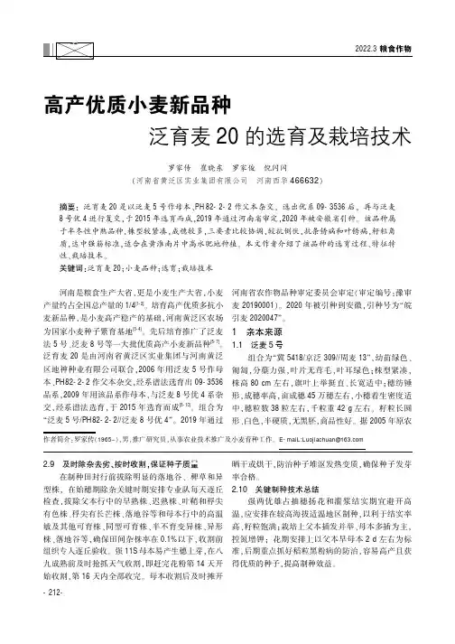 高产优质小麦新品种泛育麦20的选育及栽培技术
