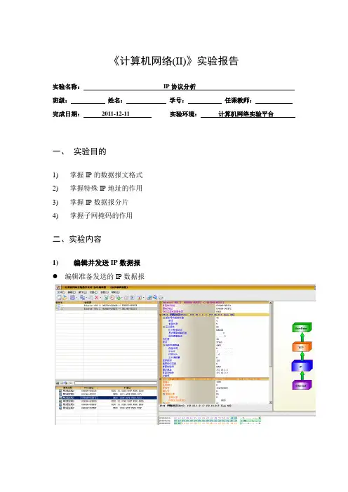 IP协议分析报告