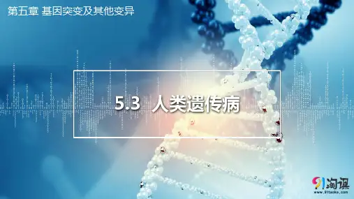 课件2：5.3 人类遗传病