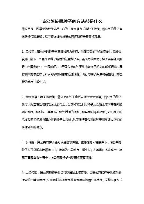 蒲公英传播种子的方法都是什么