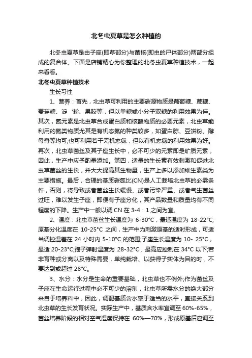 北冬虫夏草是怎么种植的